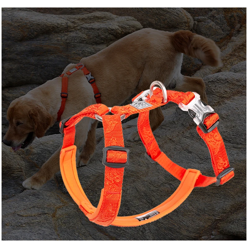 TRUELOVE Pet Hairy Usag Premiu - Runners Gear ulasan dan harga